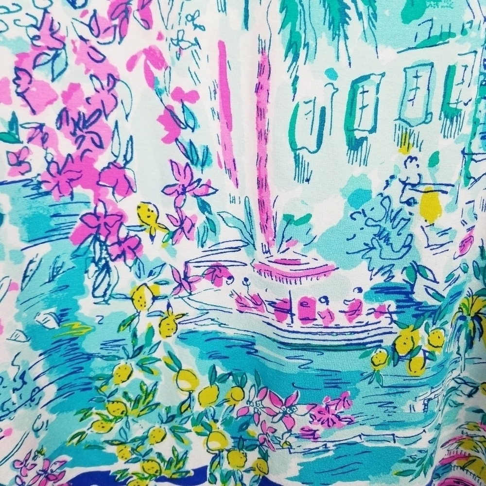 Lilly Pulitzer Dress, size XS - Picture 6 of 8